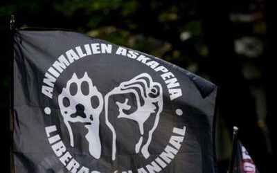 La infiltración de la ultraderecha en la lucha por los derechos de los animales