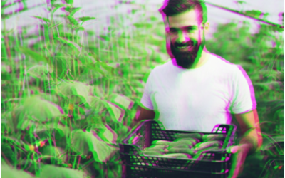 Veganismo y masculinidad híbrida