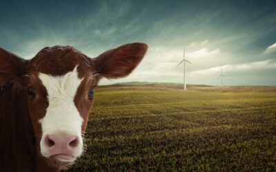 Mascarada ecoverde=Capital Animal ¿Cueste lo que cueste?