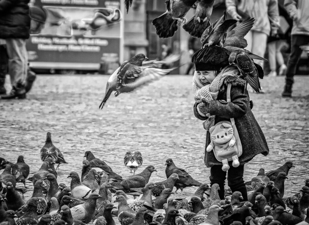 OfotoRey Imagen de Amsterdam, La plaza dam y Niño