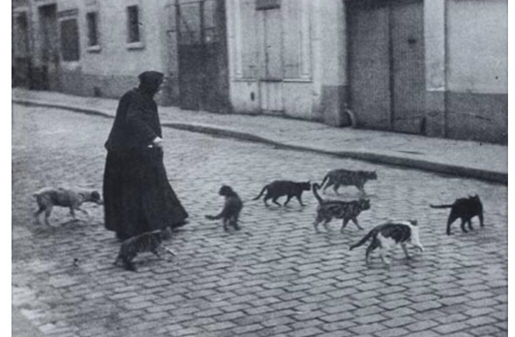 Cuidar a quien cuida