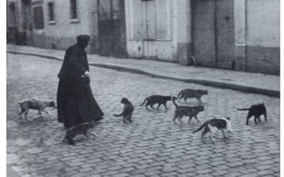 Cuidar a quien cuida