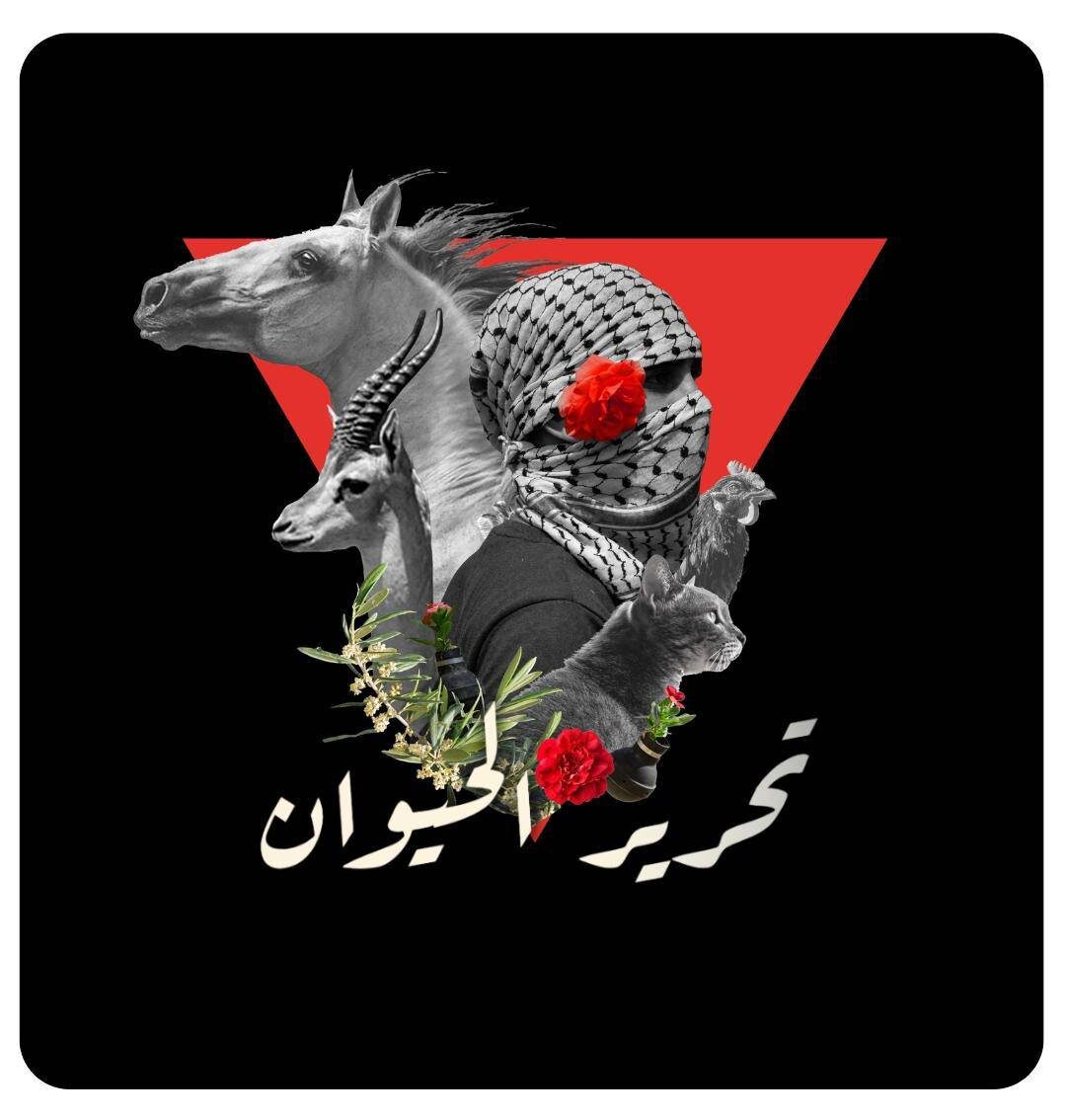 Collage de Laura Hermoso